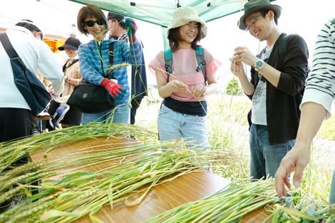 湘南小麦麦秋祭りエピ作り体験